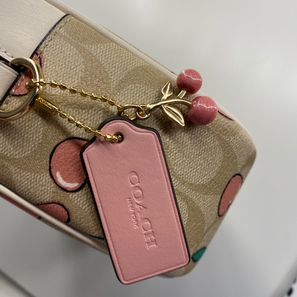 BNWT Coach Jamie Camera Bag In Signature Canvas With Heart Cherry Print - Picture 3 of 4